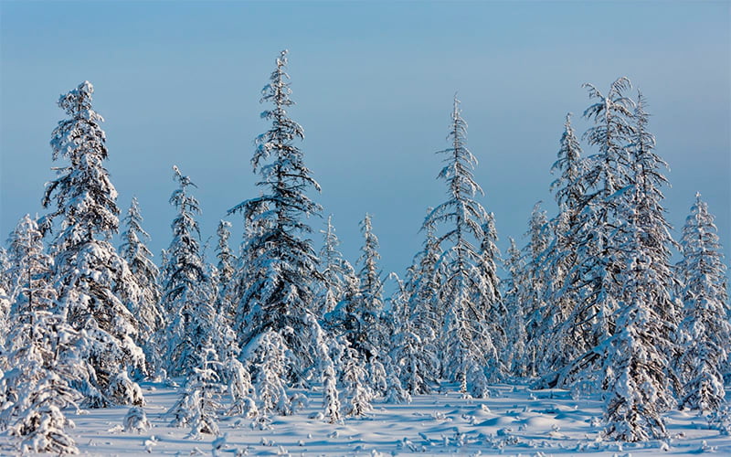 Краткая характеристика климата Якутии