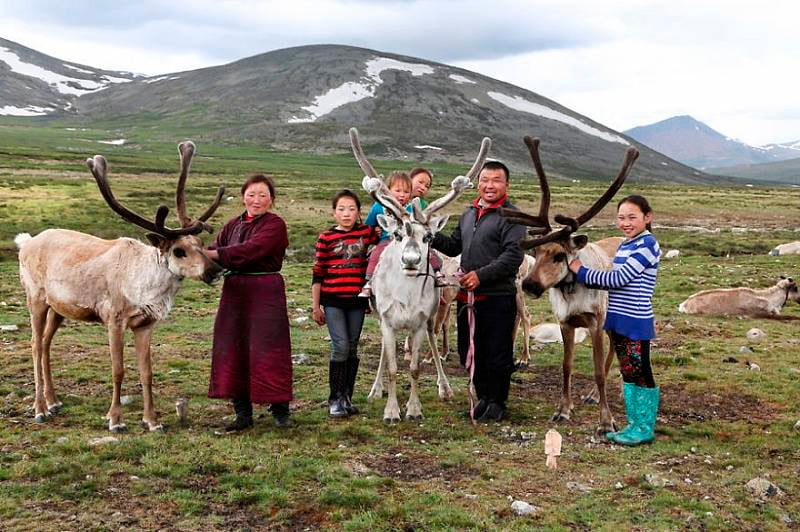 Оленеводство в Монголии