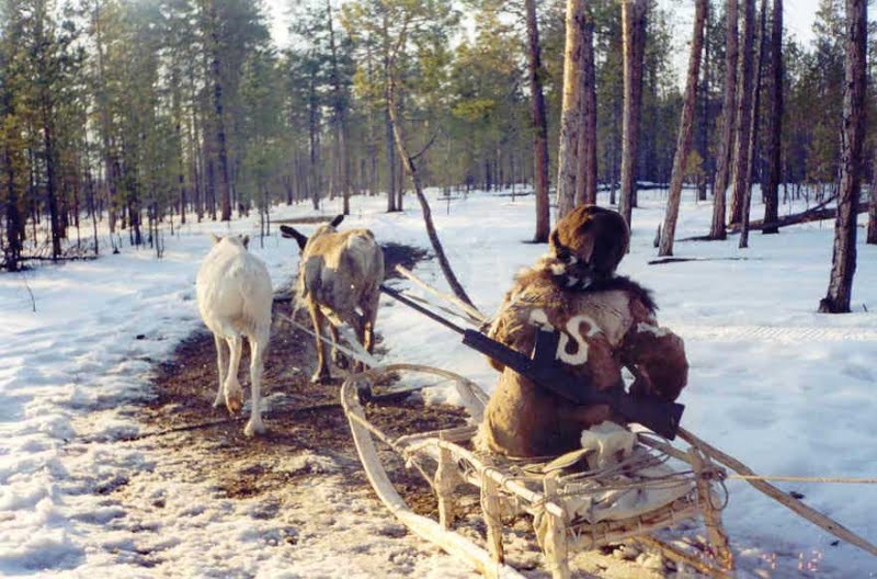 Reindeer husbandry of the Tundra Yukaghirs