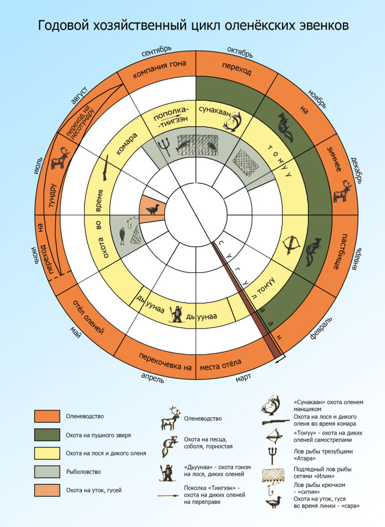Годовой хозяйственный цикл оленекских эвенков